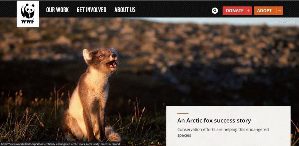 9 Types Of Websites That Can Give You A Strong Online Presence 4 WWF Site